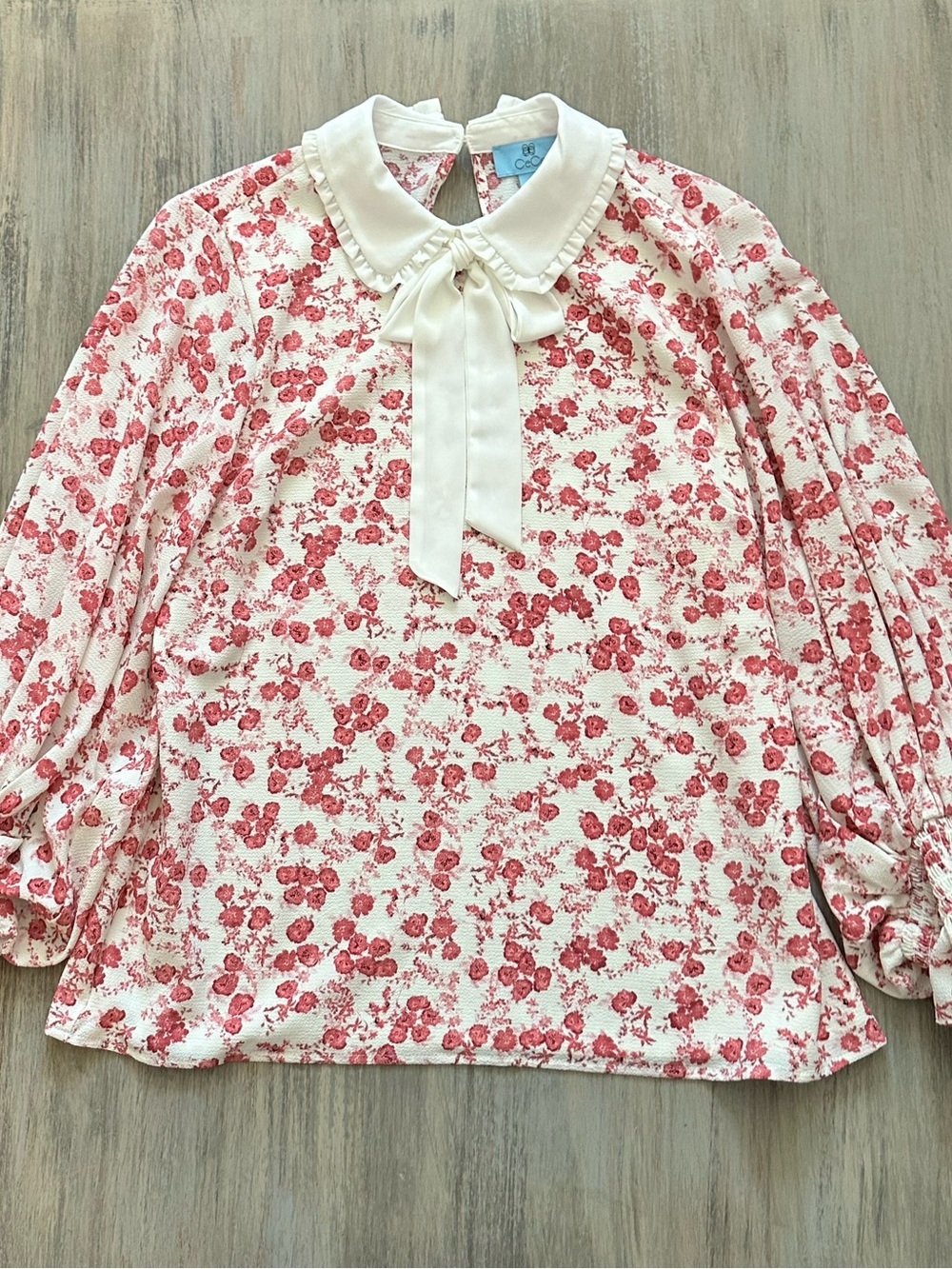 CeCe Women’s Ruffle Blouse with Pink Floral Accents